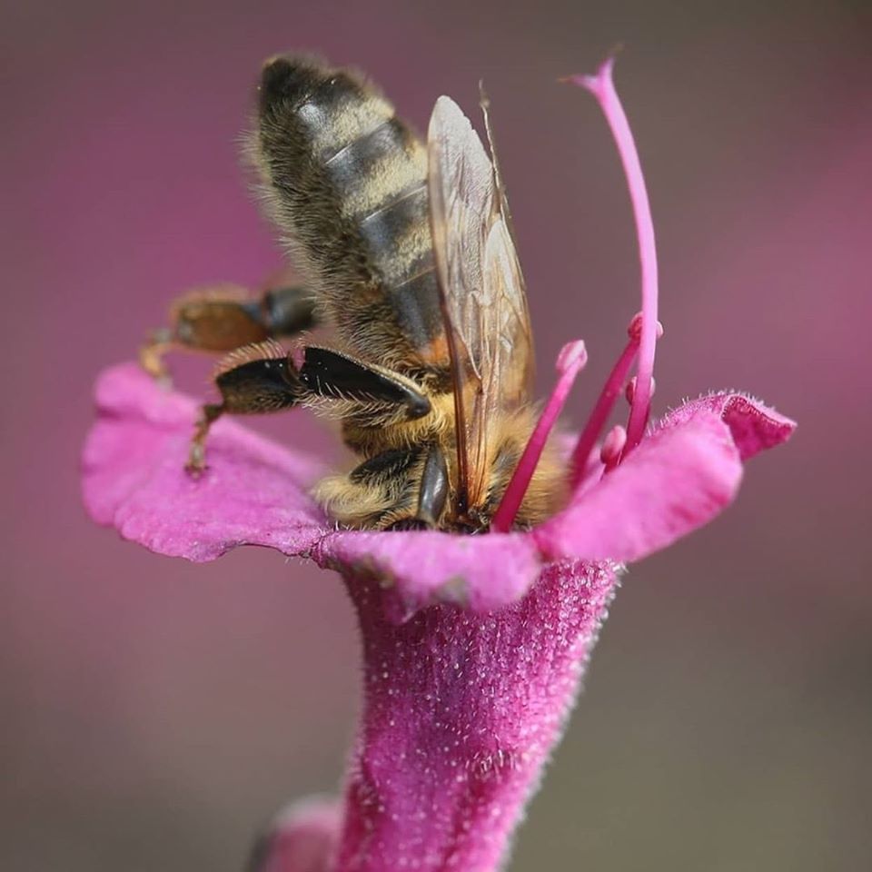 arx1587126578e.jpg