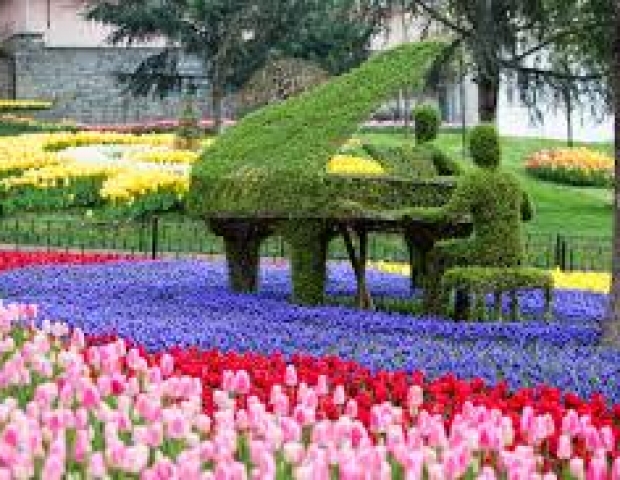 bfi1586954256z.jpg