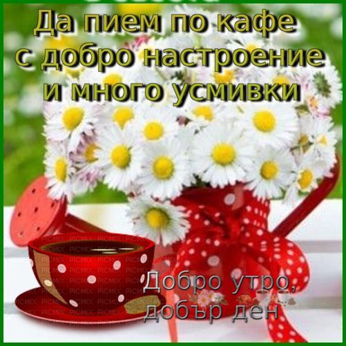 bwy1590045478a.jpg