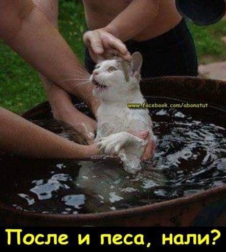 jdv1588499937c.jpg