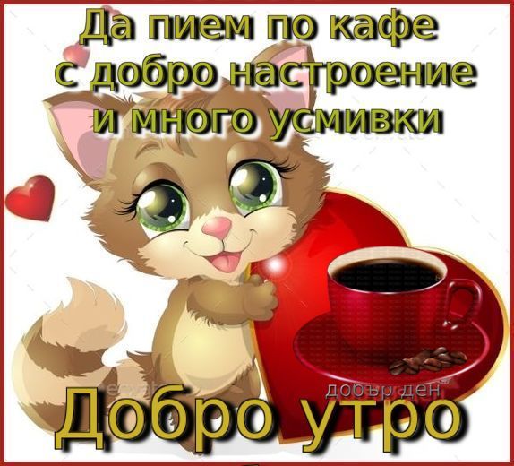 jdv1590135535a.jpg