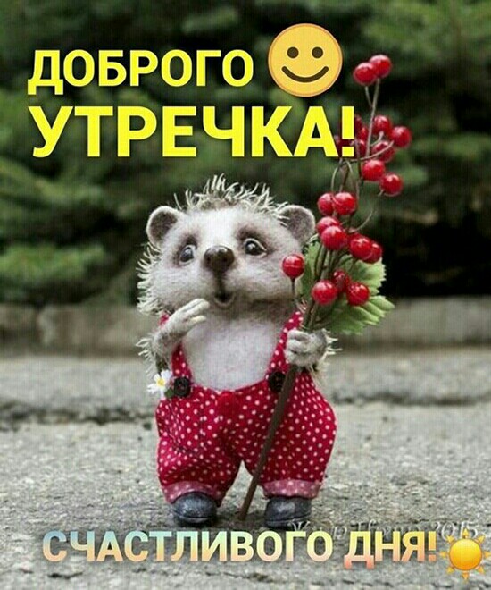 klz1589011453a.jpg
