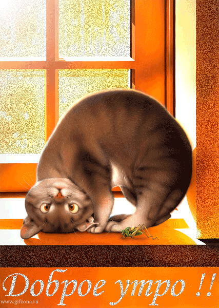 klz1589870023k.gif