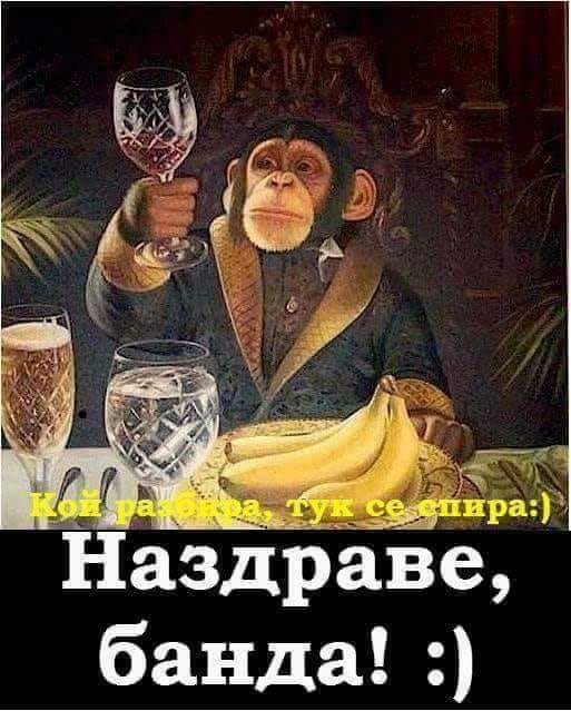 opt1578341289u.jpg