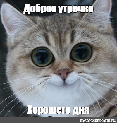 rgh1589701104w.jpg