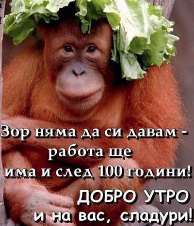 rgh1593841211z.jpg