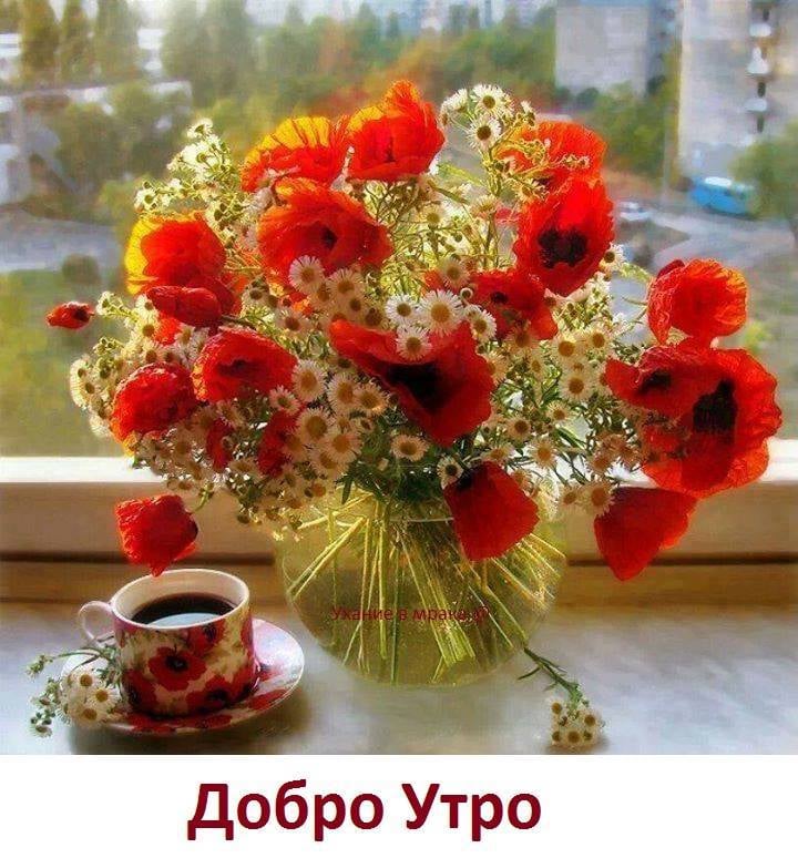 viu1575279793z.jpg