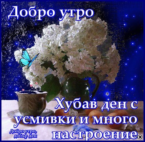 viu1589611004f.jpg