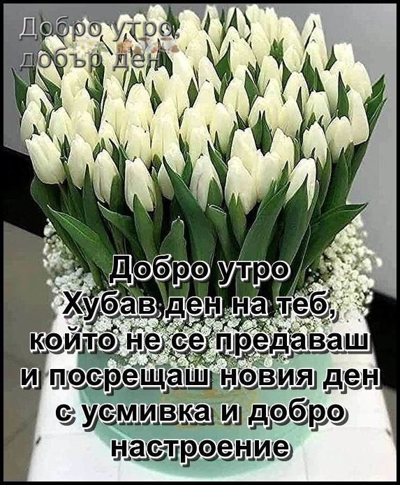 viu1590395548s.jpg