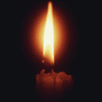 jdv1569181425q.gif&key=f09900fbc286e0f96